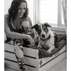 אילוף חיובי לכלבים