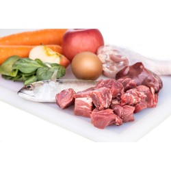 האכלת כלבכם בתזונה טבעית בפעם הראשונה